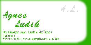 agnes ludik business card